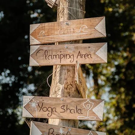 Lodge Surf Camp *